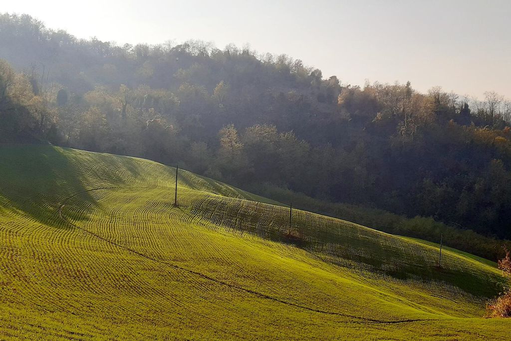 Casa Stella Country House 19 - Gallery