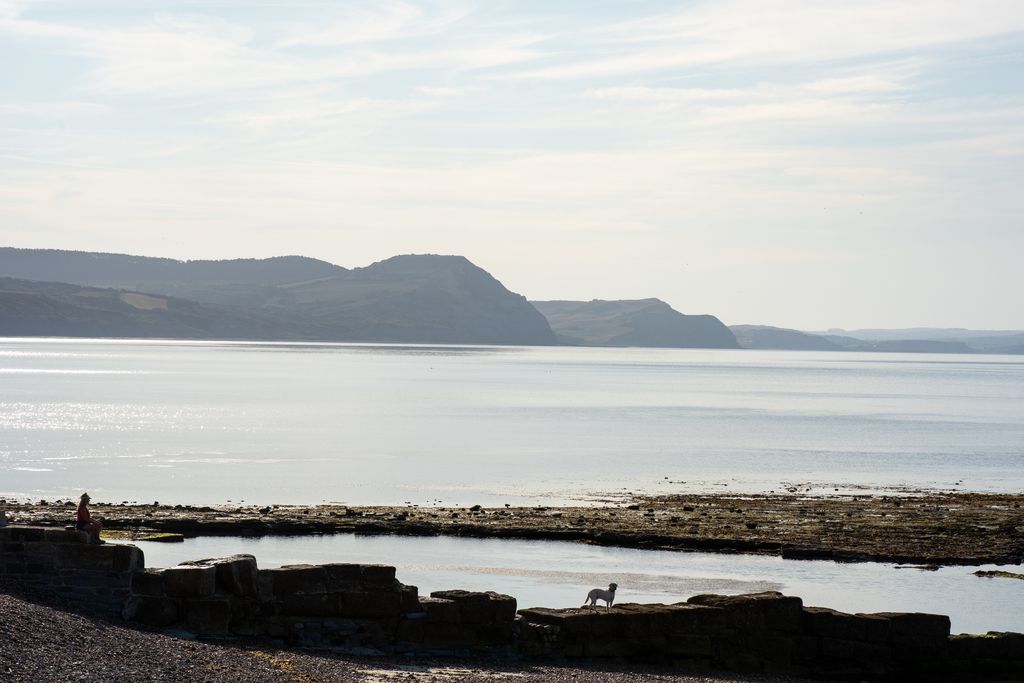 15 Pound Street 20 - Gallery