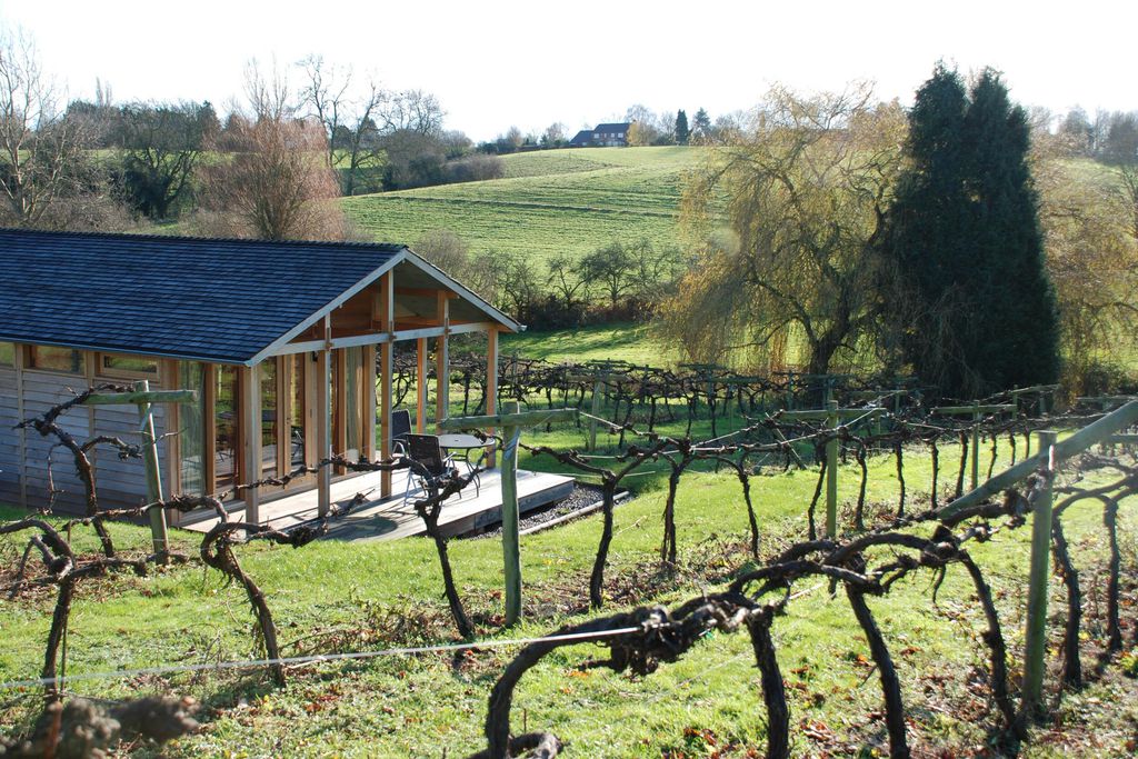 Three Choirs Vineyards 3 - Gallery