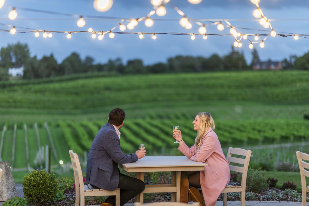 Three Choirs Vineyards 14 - Gallery