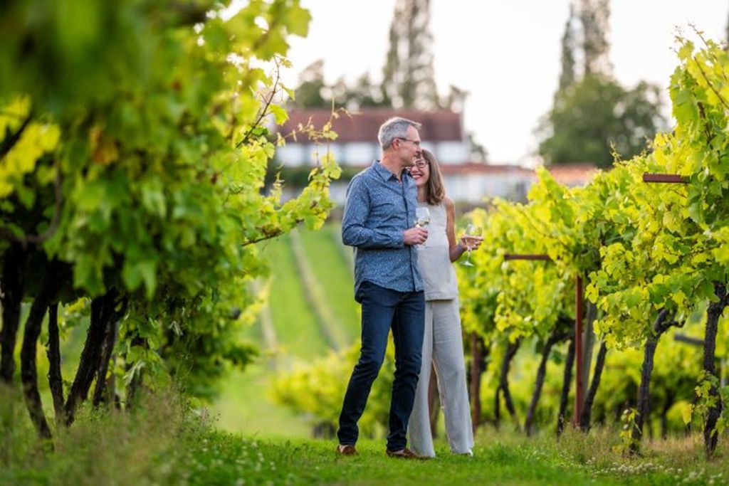 Three Choirs Vineyards 18 - Gallery