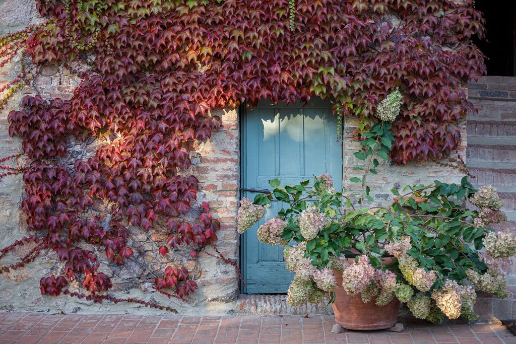 Casa Santa Maria 17 - Gallery