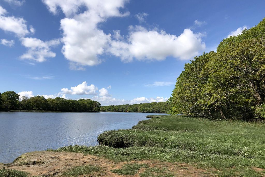 Church Lane Barns 16 - Gallery