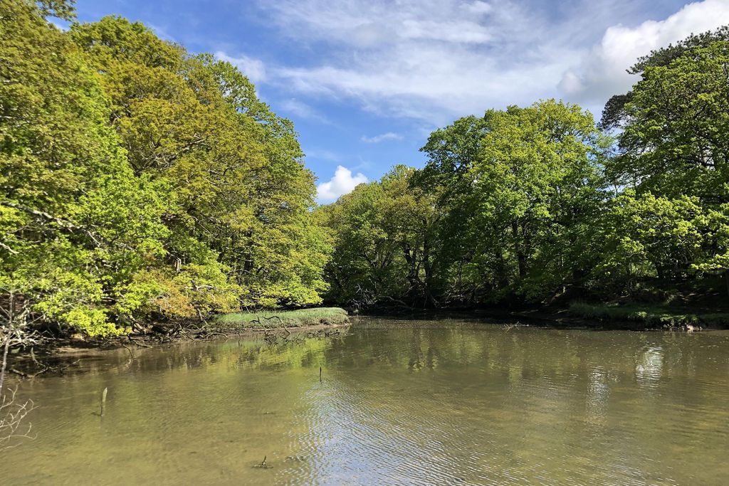 Church Lane Barns 18 - Gallery