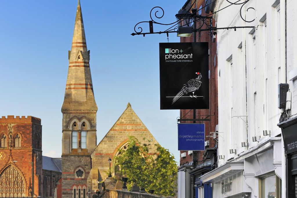 The Lion & Pheasant 18 - Gallery