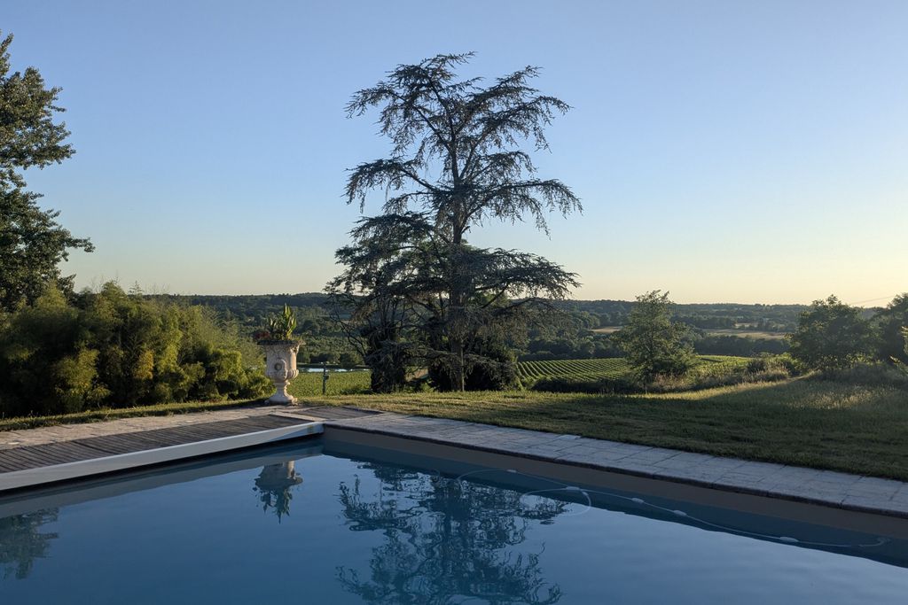 Château de Pomiro 6 - Gallery