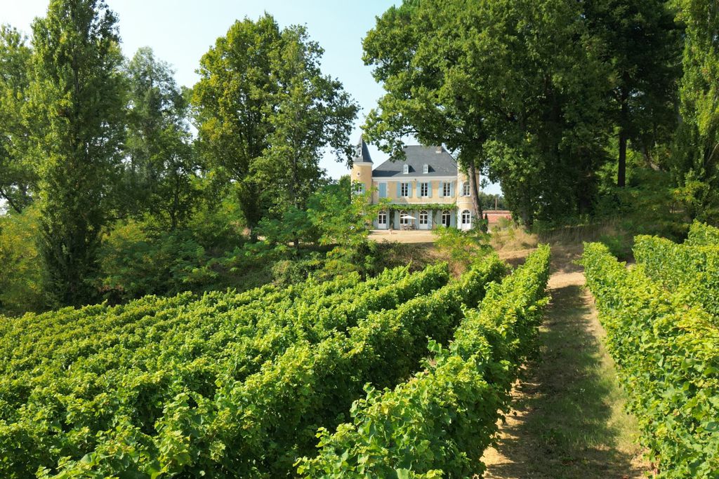 Château de Pomiro 7 - Gallery