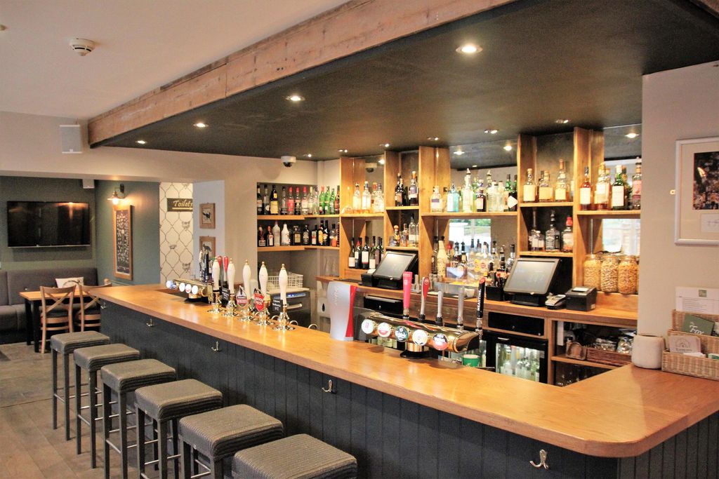 The Fox 14 - Gallery