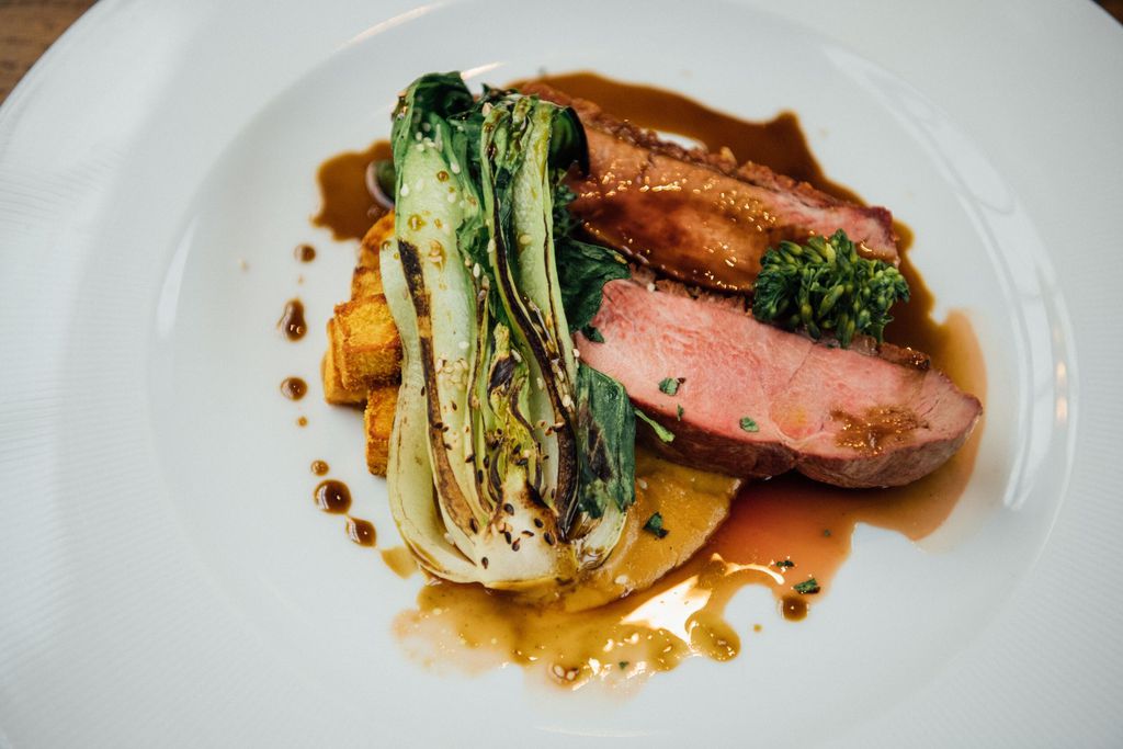 The Fox 17 - Gallery