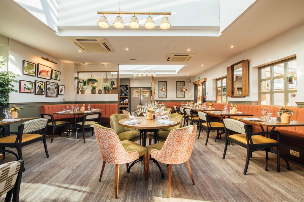 The Fox 18 - Gallery