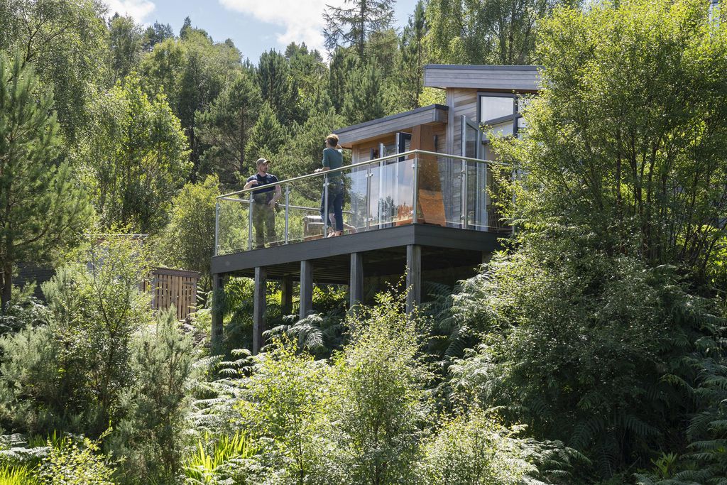 Feada Coille 9 - Gallery