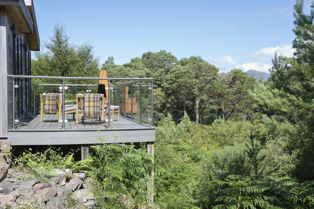 Feada Coille 18 - Gallery