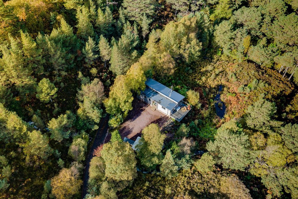 Feada Coille 15 - Gallery