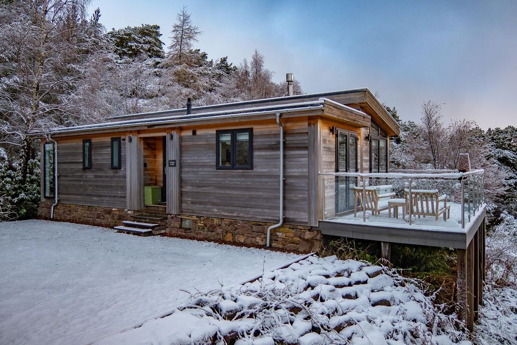 Feada Coille 16 - Gallery