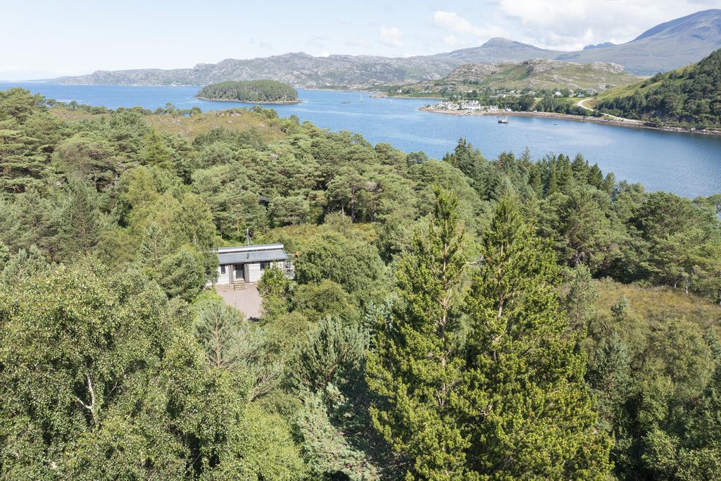 Feada Coille 17 - Gallery