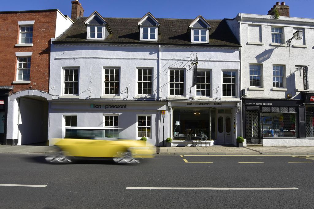 The Lion & Pheasant 6 - Gallery