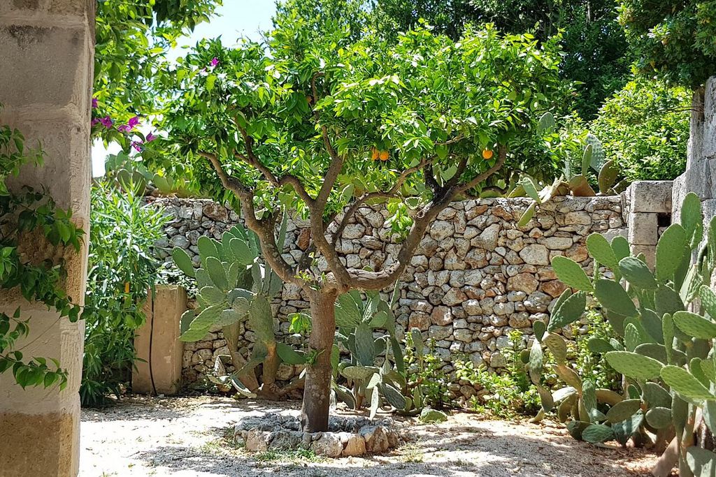 Il Mulino Santo Spirito 12 - Gallery