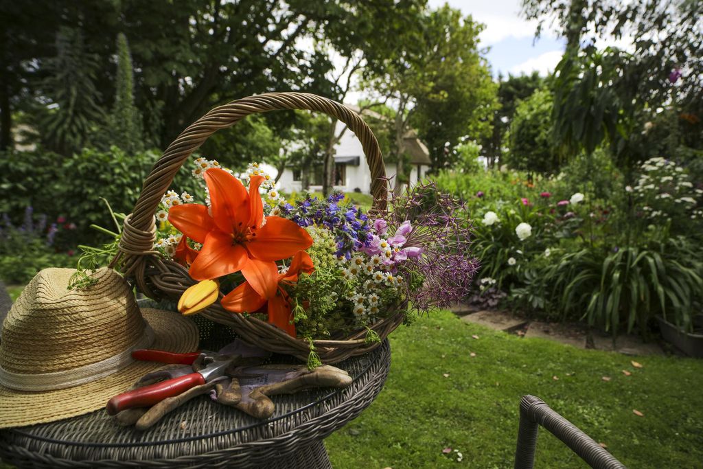 The Cottages 20 - Gallery