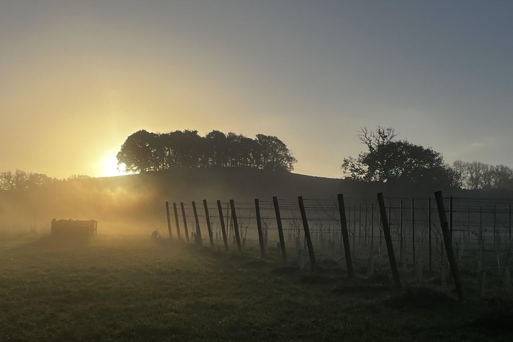 The Lambing Shed 5 - Gallery