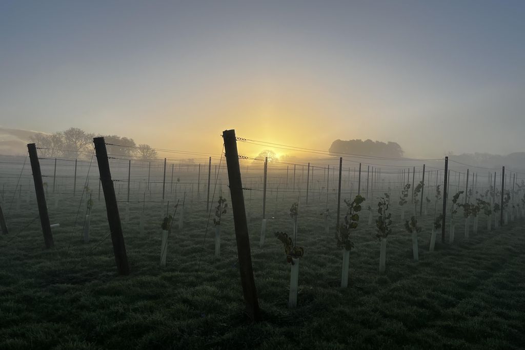 The Lambing Shed 16 - Gallery