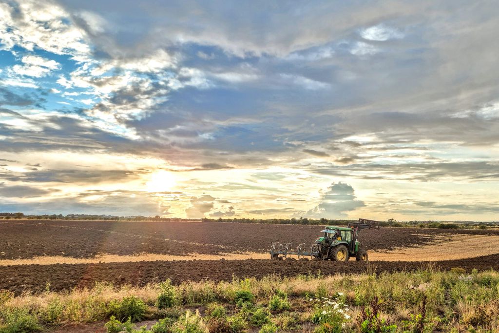 The Fuffins at Hunting Hall 19 - Gallery