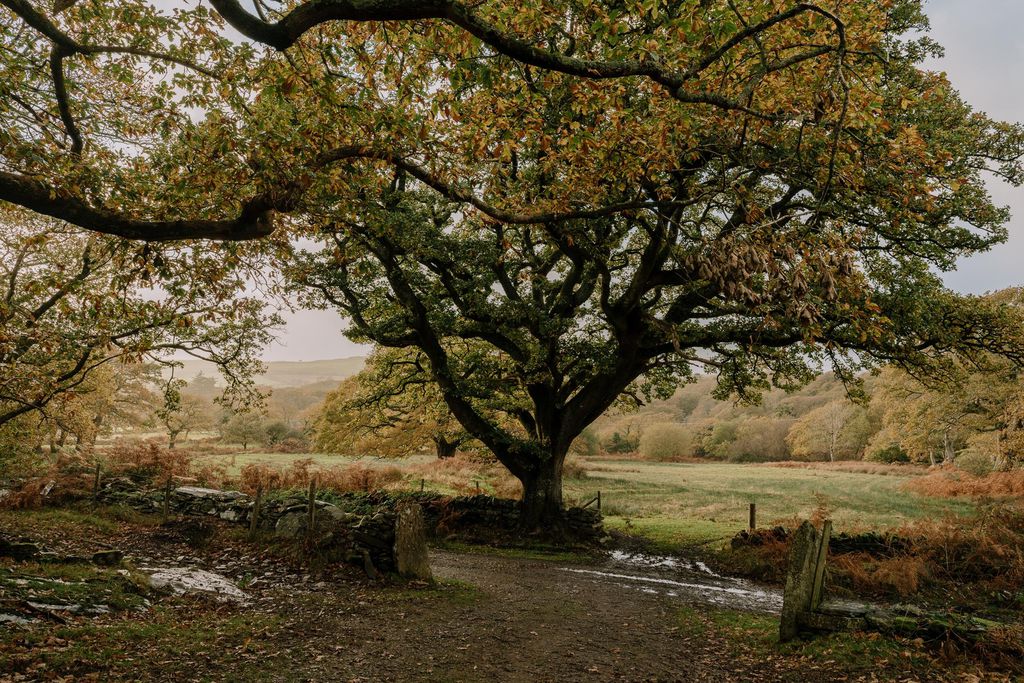 Bron Y Gadair 12 - Gallery