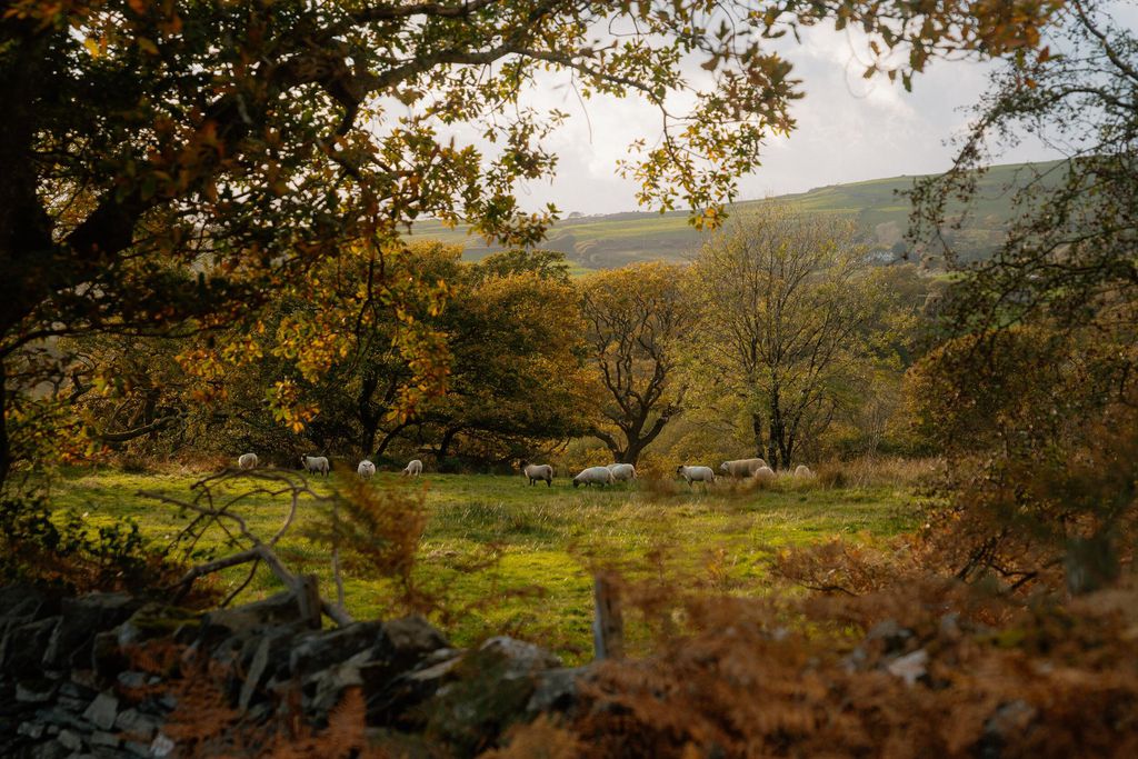 Tyn Llech 10 - Gallery