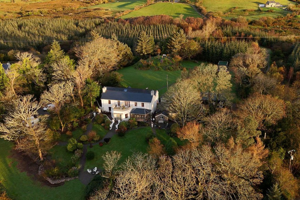 Mossie's 1 - Gallery