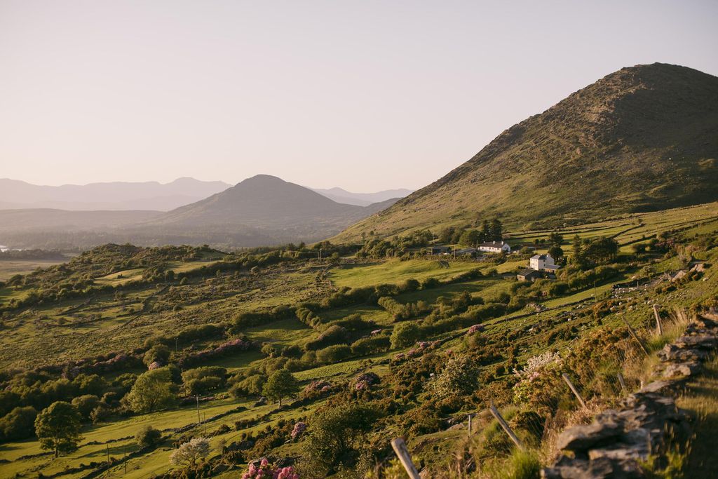 Mossie's 7 - Gallery