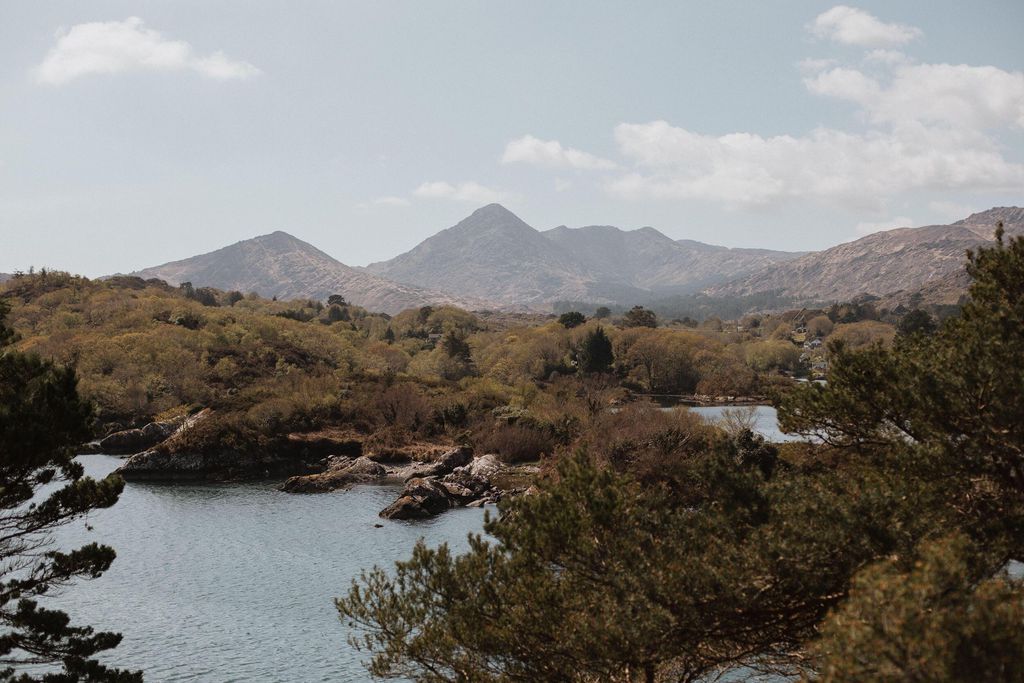 Mossie's 19 - Gallery