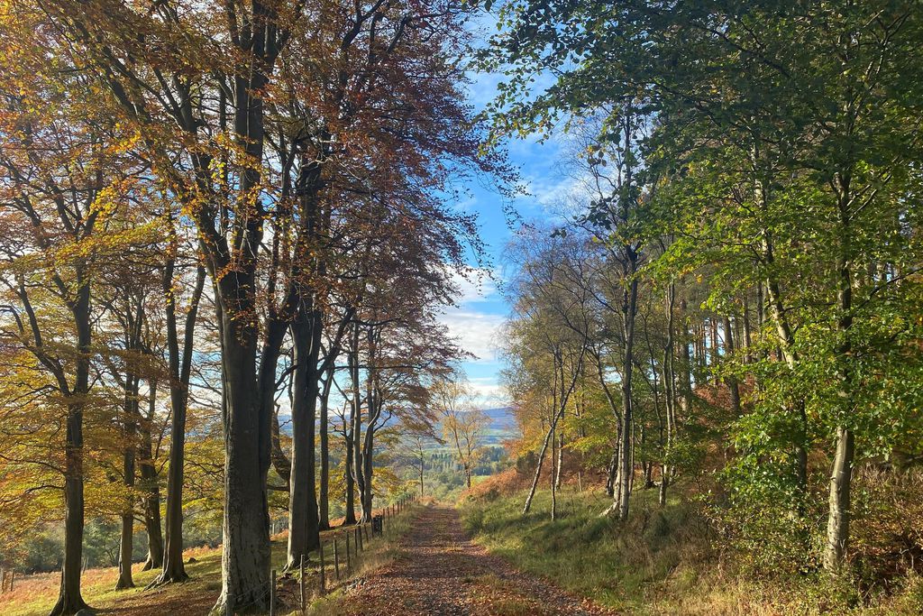 Chillingham Newtown 3 - Gallery