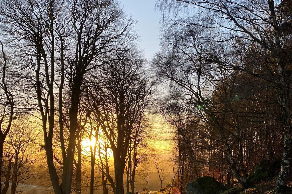 Chillingham Newtown 16 - Gallery