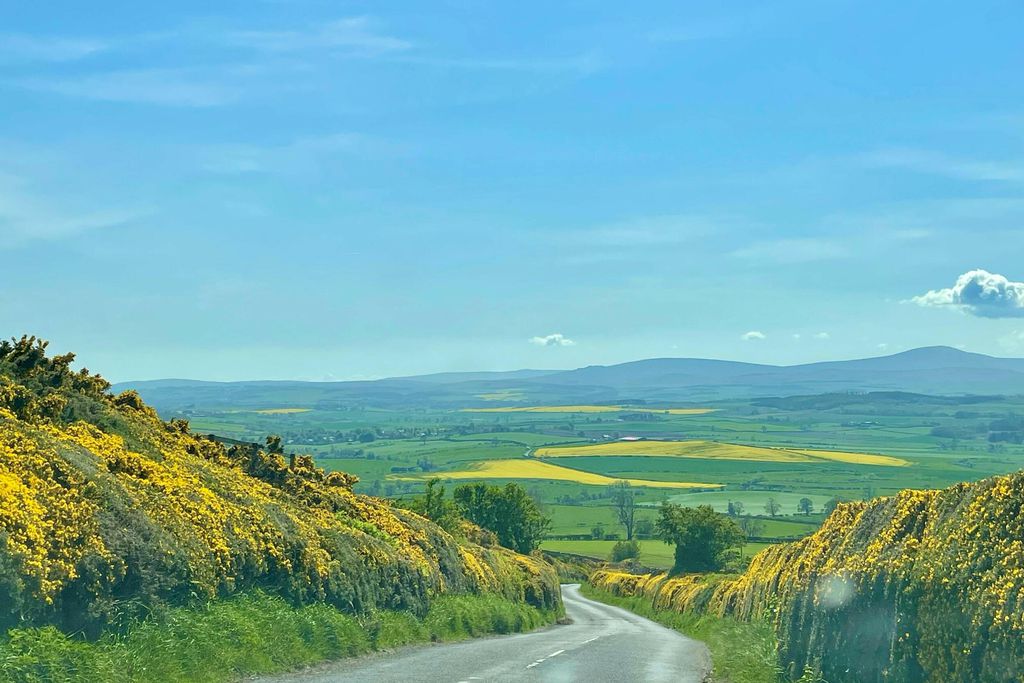 Chillingham Newtown 13 - Gallery