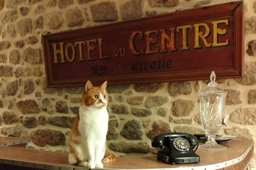 Monsieur Morgan's 6 - Gallery