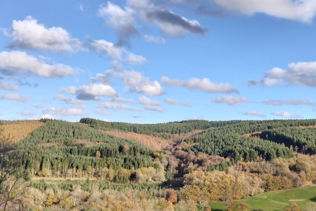 Monsieur Morgan's 7 - Gallery