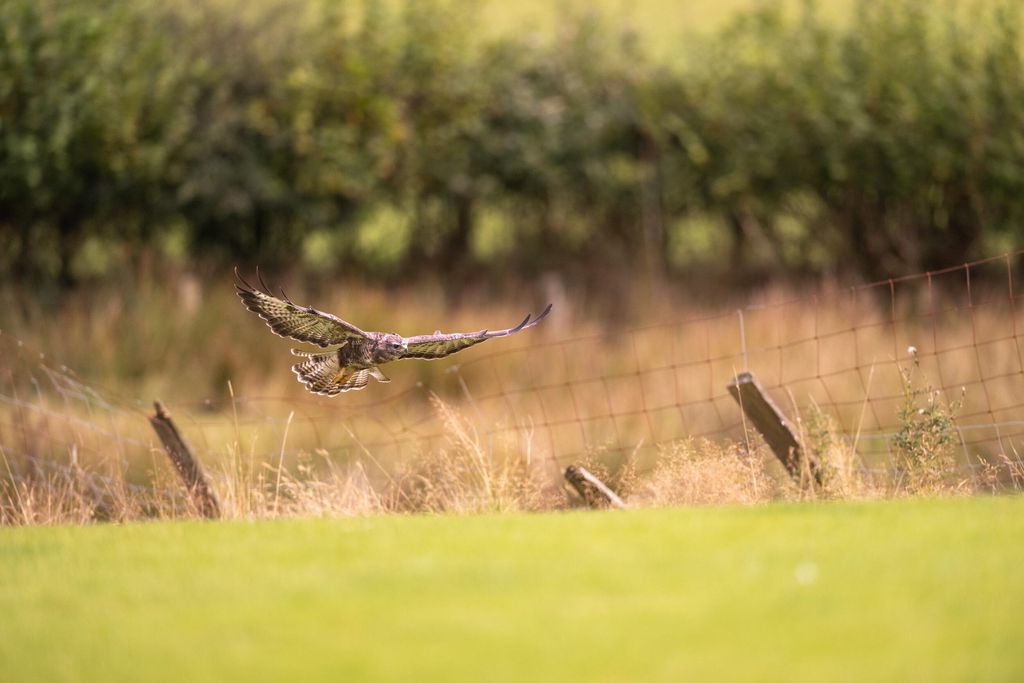 Llwynwermod Estate - West Cottage 11 - Gallery