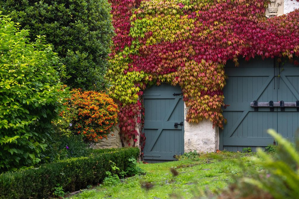 Llwynwermod Estate - West Cottage 16 - Gallery