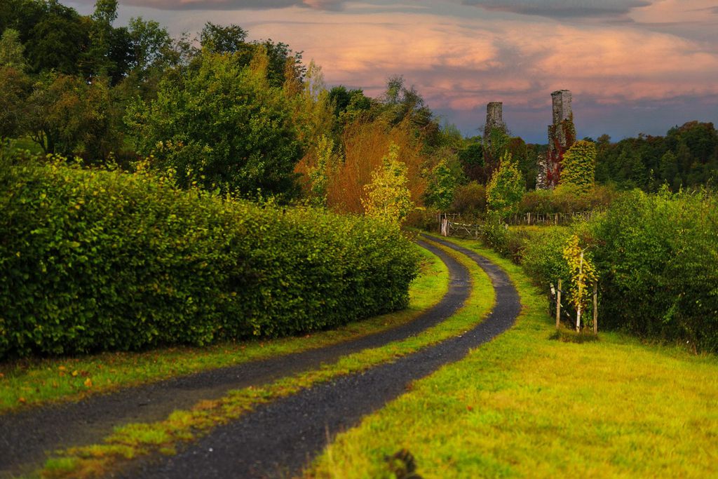 Llwynwermod Estate - West Cottage 20 - Gallery