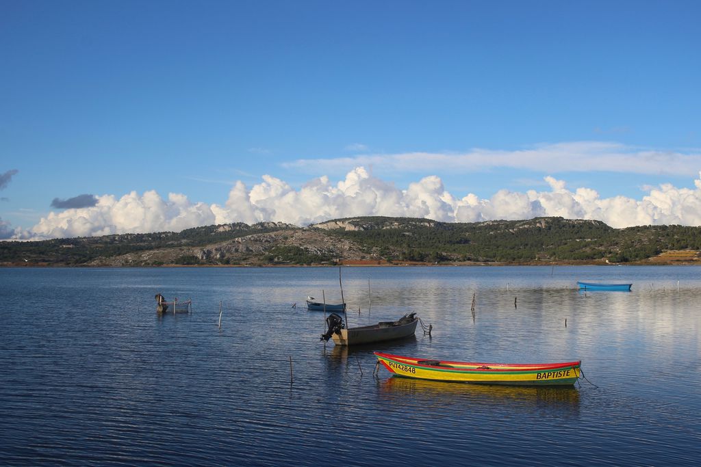 Domaine de Puychêne - Sauge 18 - Gallery