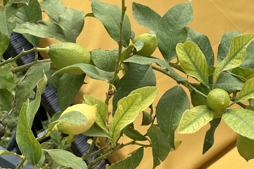 Mas Granaud 13 - Gallery