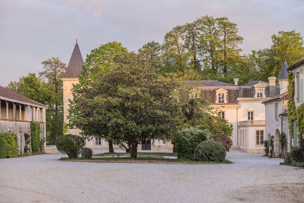 Château Sénéjac 7 - Gallery