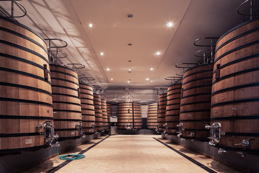 Château Sénéjac 15 - Gallery