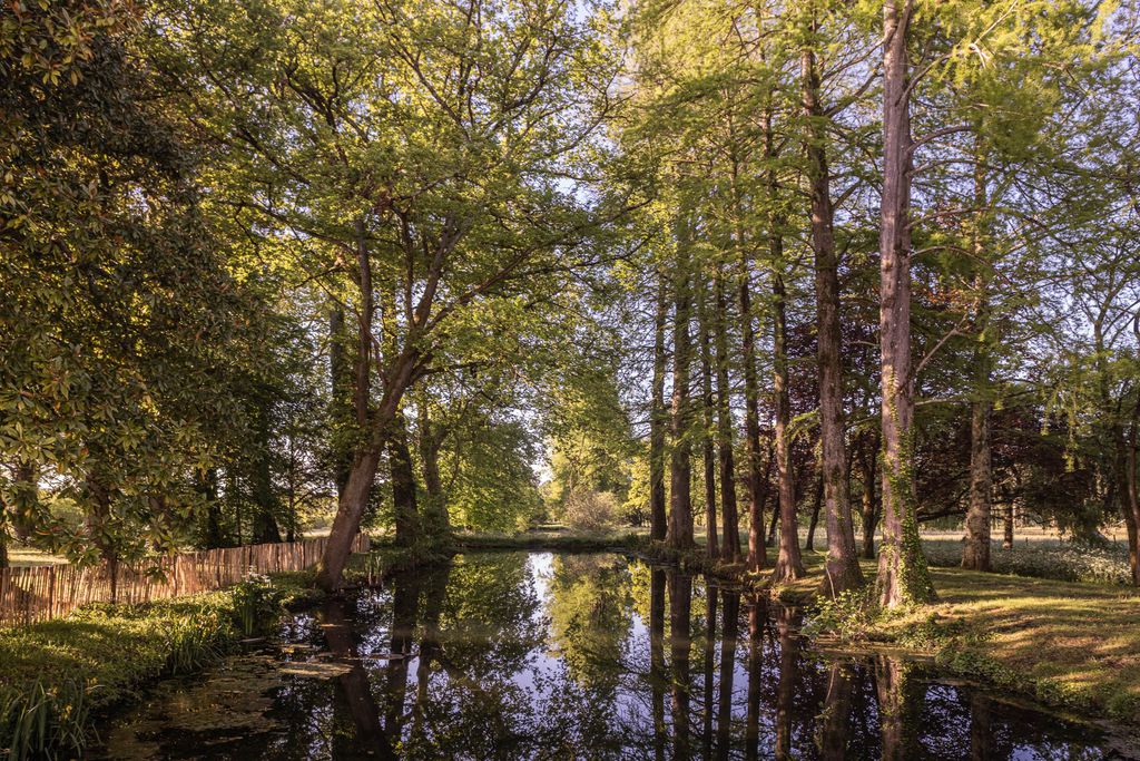 Château Sénéjac 18 - Gallery