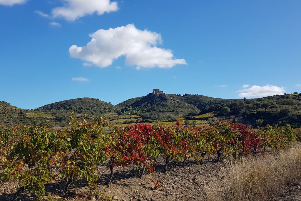 Domaine de Puychêne - Sauge 20 - Gallery