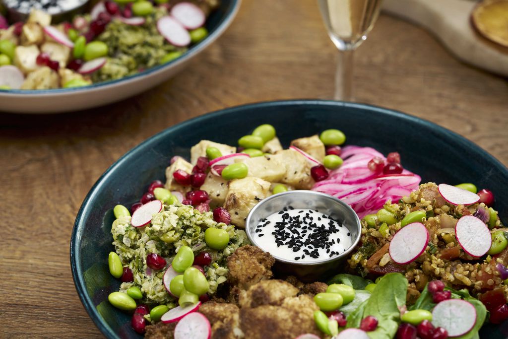 The Ness 13 - Gallery