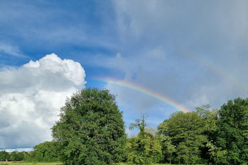 Le Grippault 16 - Gallery