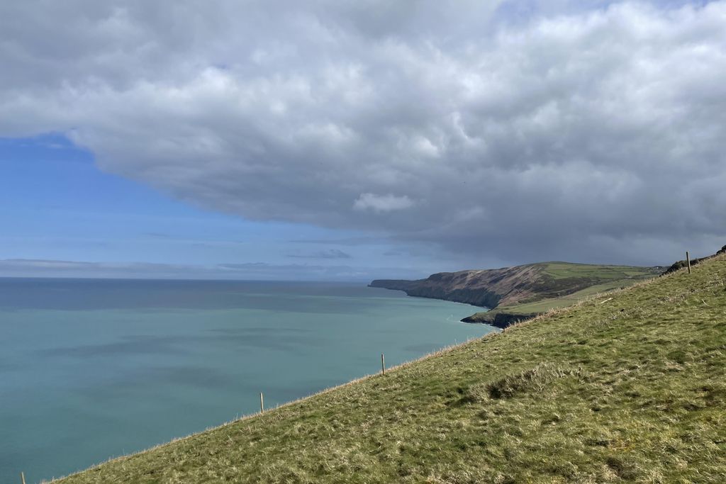 Noyadd Trefawr 4 - Gallery