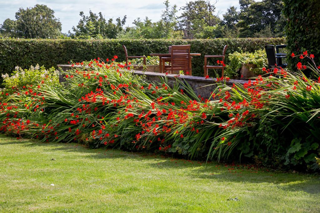 Cold Cotes 19 - Gallery