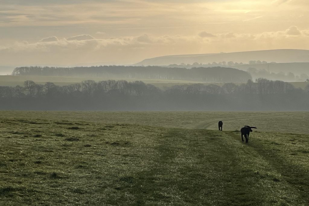 The Jointure Studios 18 - Gallery