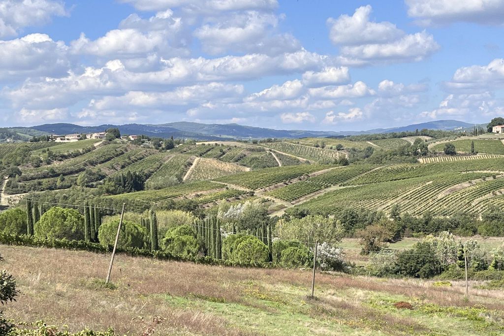 Metranino 2 - Gallery